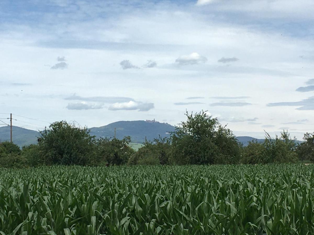 Gite D'Alsace L'Escale オストハイム エクステリア 写真