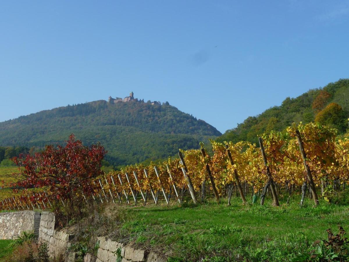 Gite D'Alsace L'Escale オストハイム エクステリア 写真